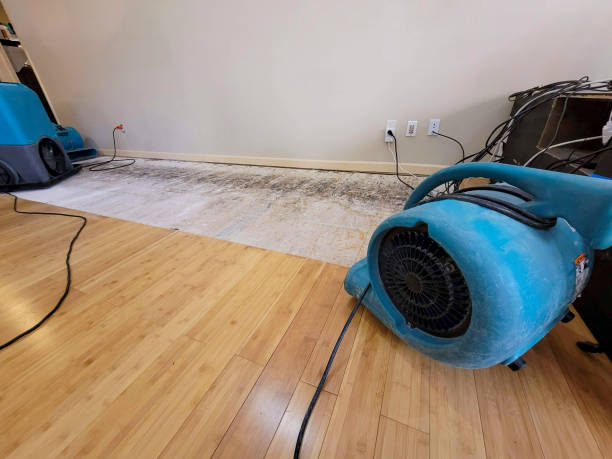 Professional Flood Damage Cleanup technician working in Almond, WI